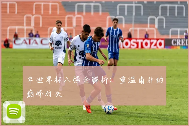 年世界杯八强全解析：重温南非的巅峰对决
